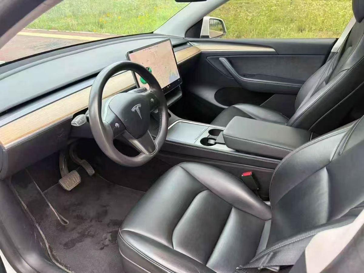 Tesla Model Y 2021 car image #6