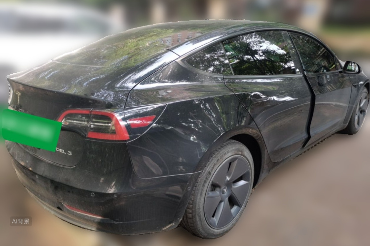 Tesla Model 3 2022 car image #7