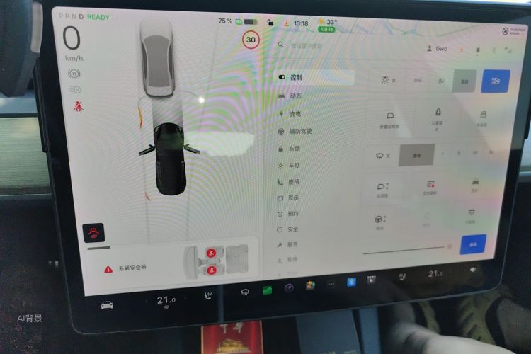 Tesla Model 3 2021 car image #15