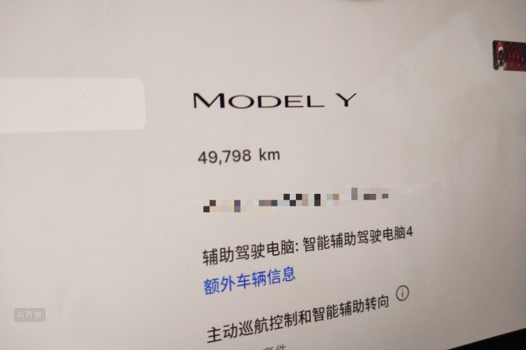 Tesla Model Y 2024 car image #14