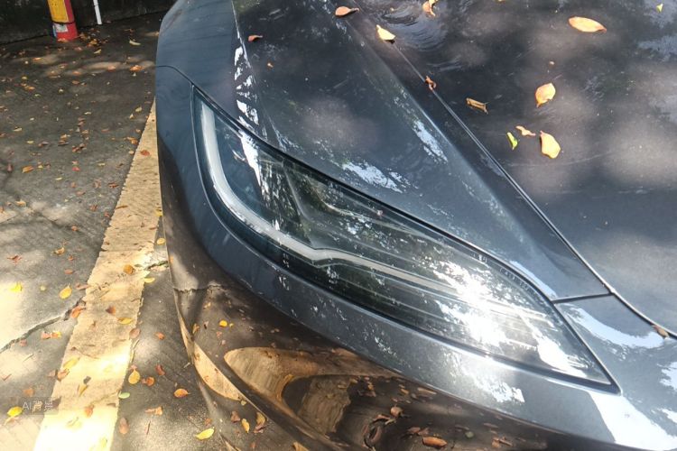 Tesla Model 3 2025 #8 Tesla Model 3 2025 car image #8