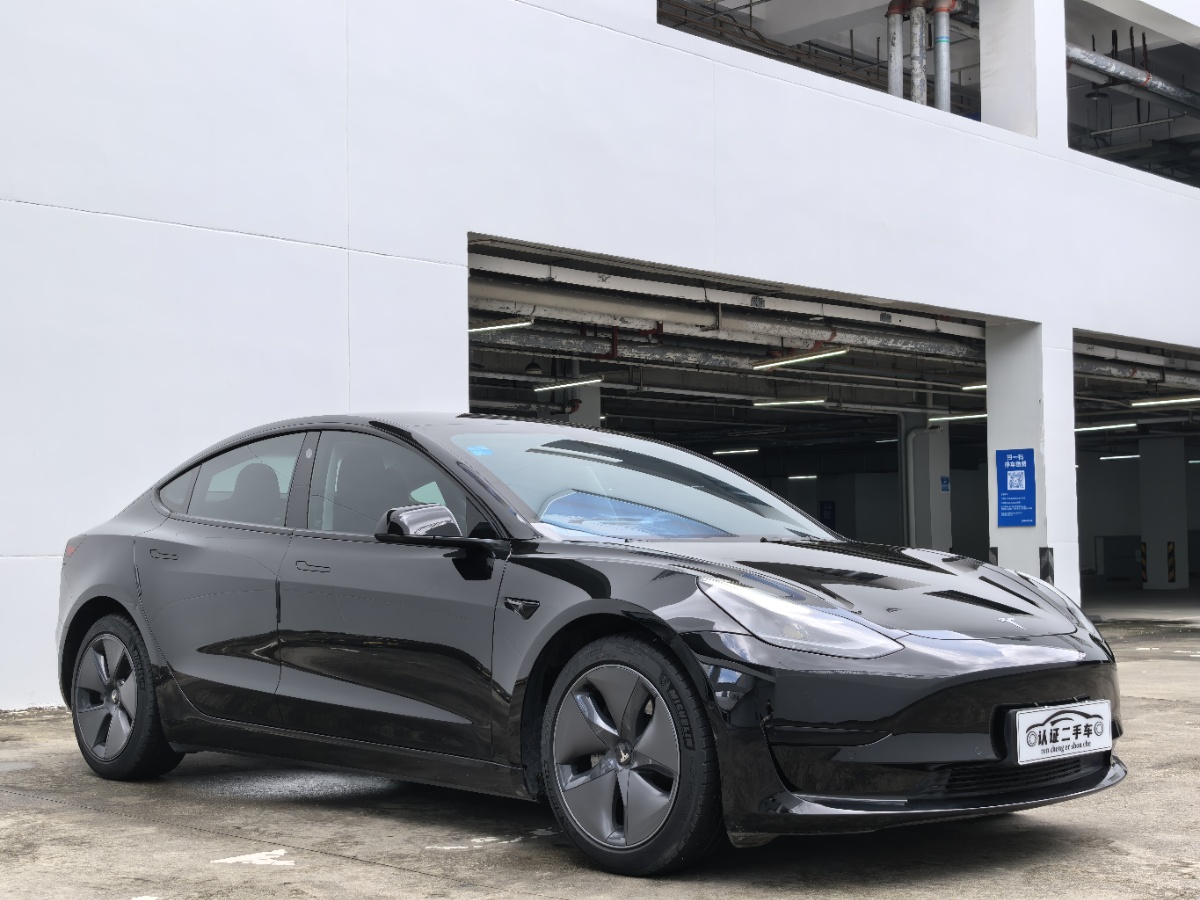 Tesla Model 3 2021 #3 Tesla Model 3 2021 car image #3