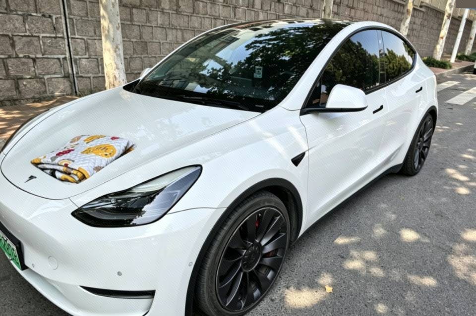 Tesla Model Y 2022 Tesla Model Y 2022 car image