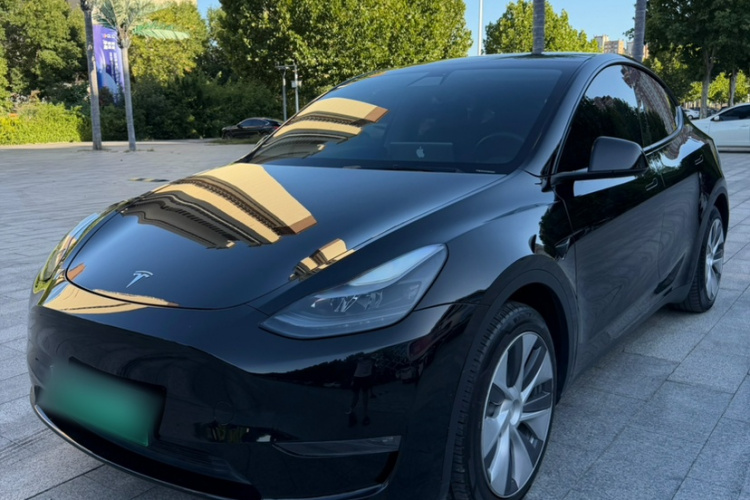 Tesla Model Y 2021 car image #2