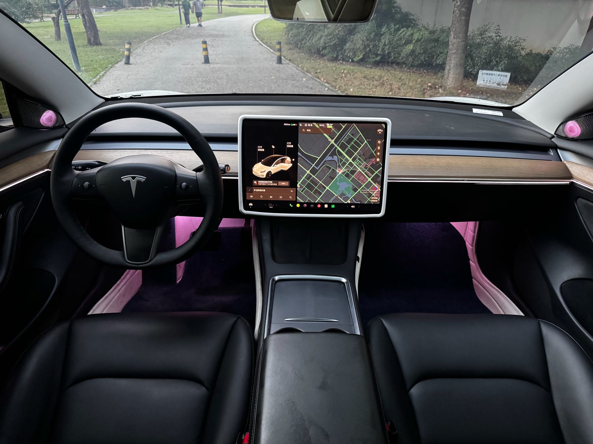 Tesla Model 3 2021 car image #10