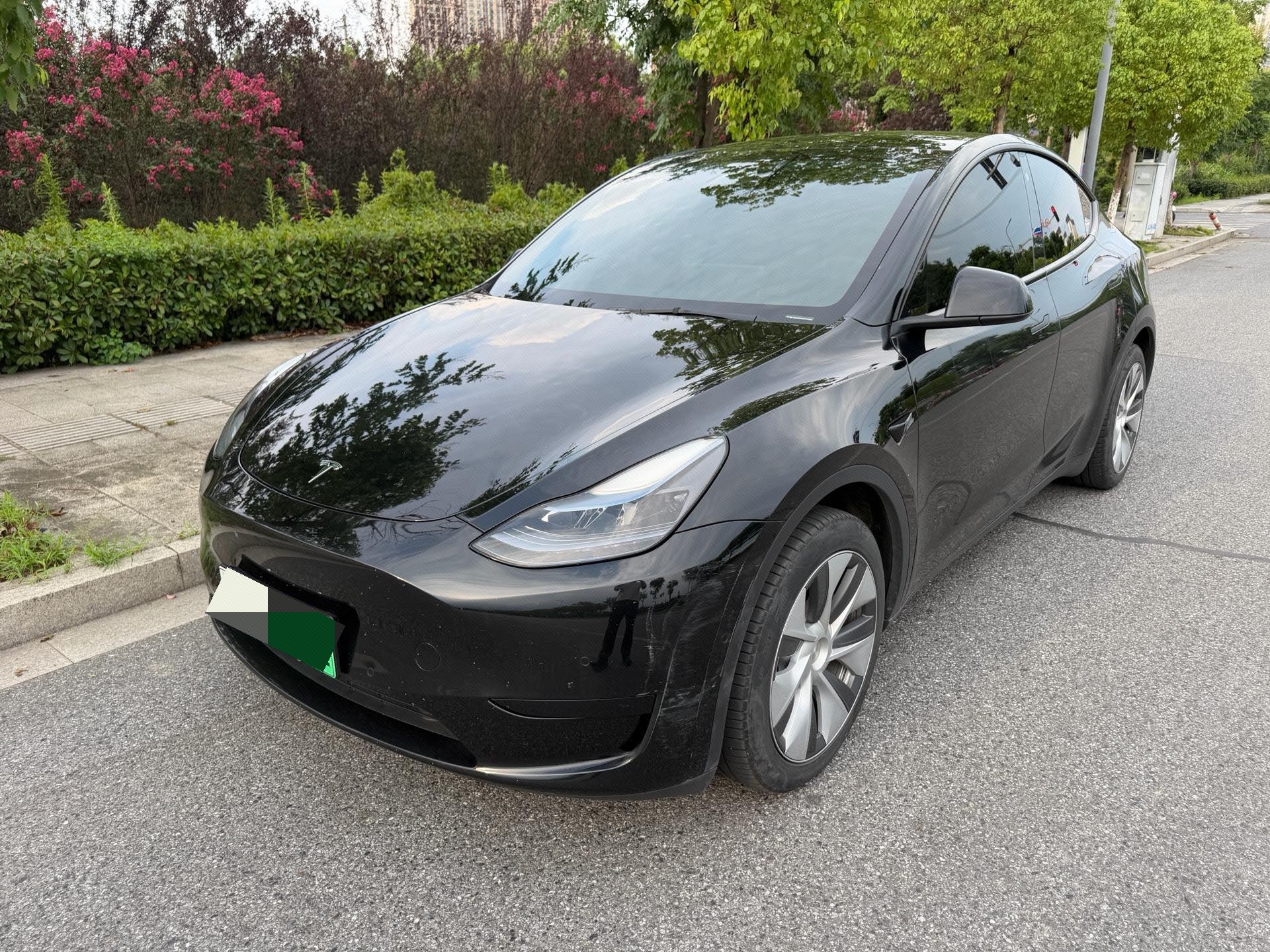 Tesla Model Y 2023 Tesla Model Y 2023 car image