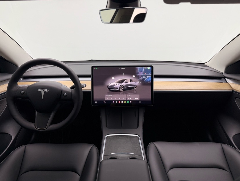 Tesla Model 3 2022 #3 Tesla Model 3 2022 car image #3