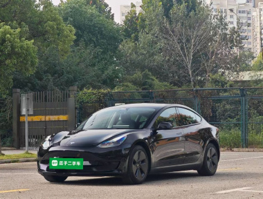 Tesla Model 3 2022 car image 