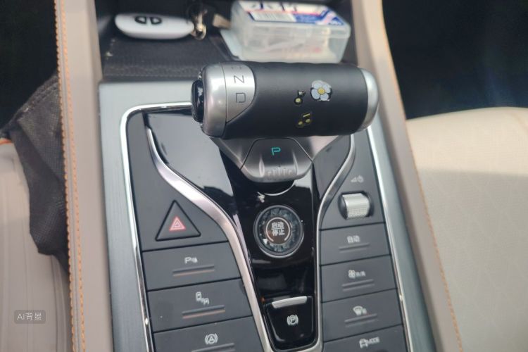 BYD Yuan Plus 2023 car image #16