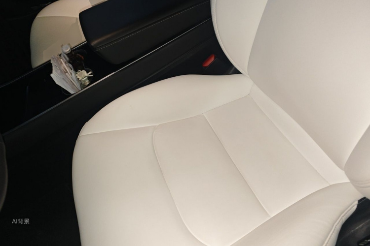 Tesla Model 3 2020 car image #17