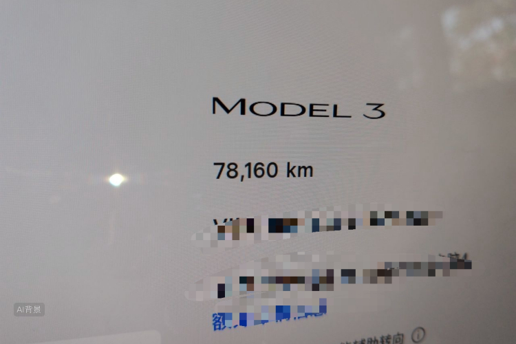 Tesla Model 3 2024 #14 Tesla Model 3 2024 car image #14
