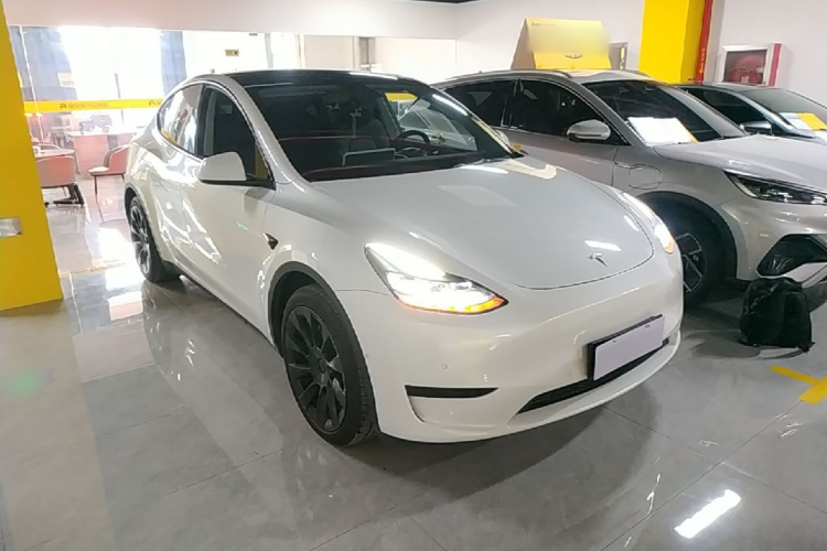 Tesla Model Y 2023 #6 Tesla Model Y 2023 car image #6