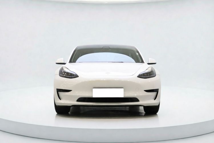 Tesla Model 3 2023 #3 Tesla Model 3 2023 car image #3