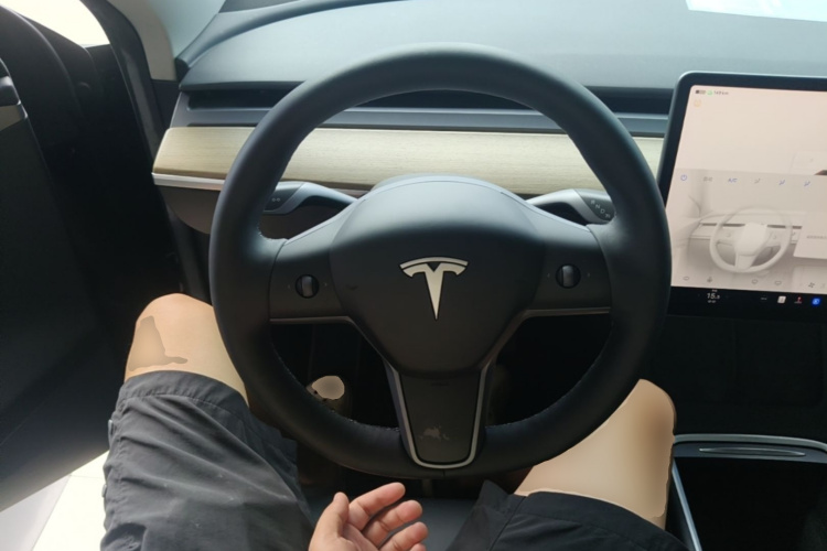 Tesla Model Y 2023 immagine di auto #11