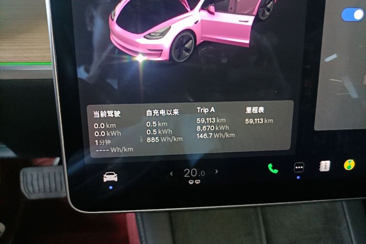 Tesla Model 3 2021 car image #12