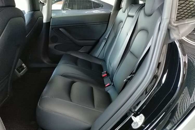 Tesla Model 3 2021 #17 Tesla Model 3 2021 car image #17