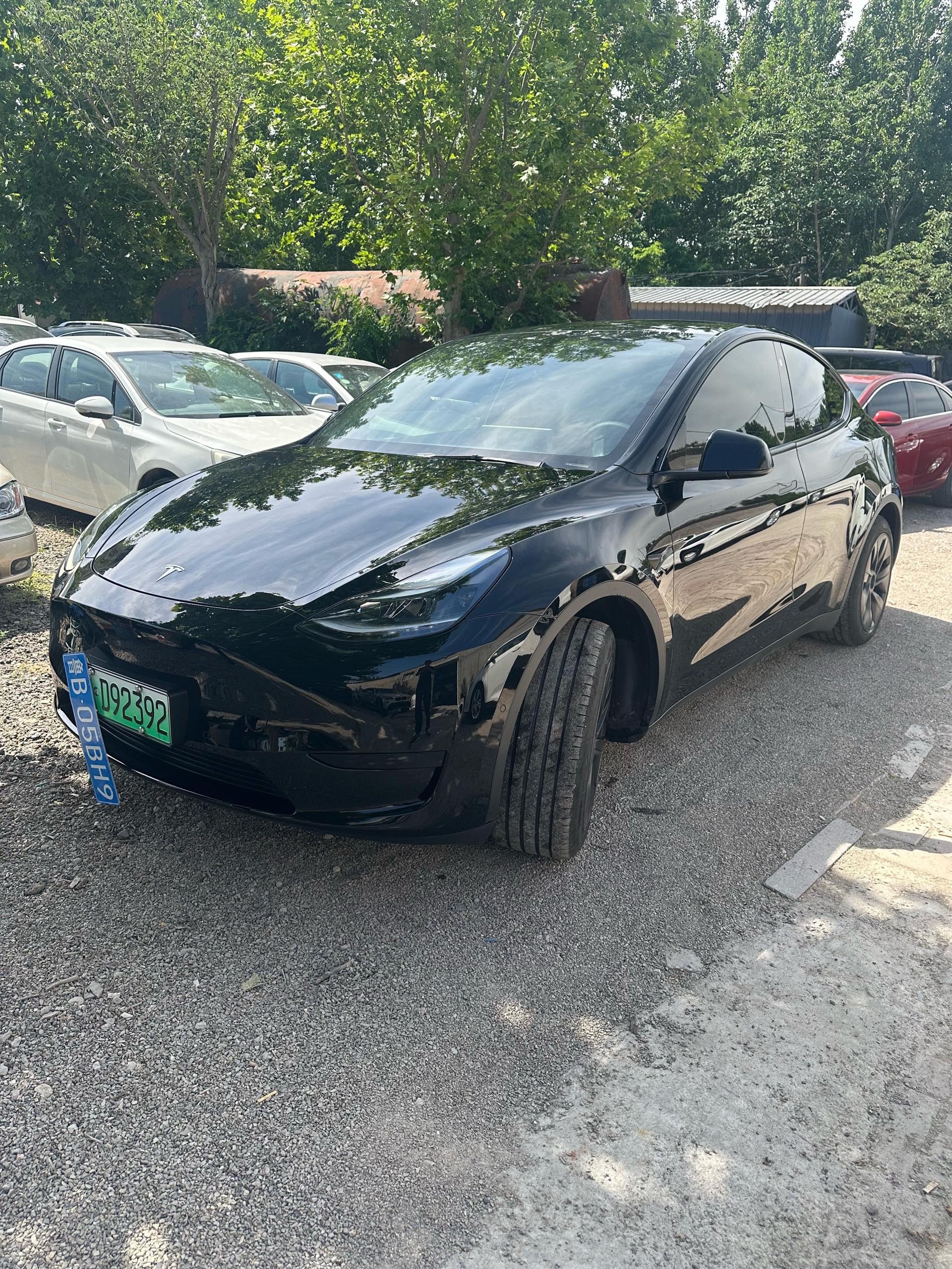 Tesla Model Y 2024 Tesla Model Y 2024 car image