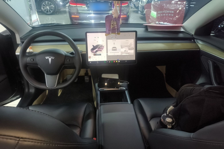 Tesla Model 3 2023 #10 Tesla Model 3 2023 car image #10