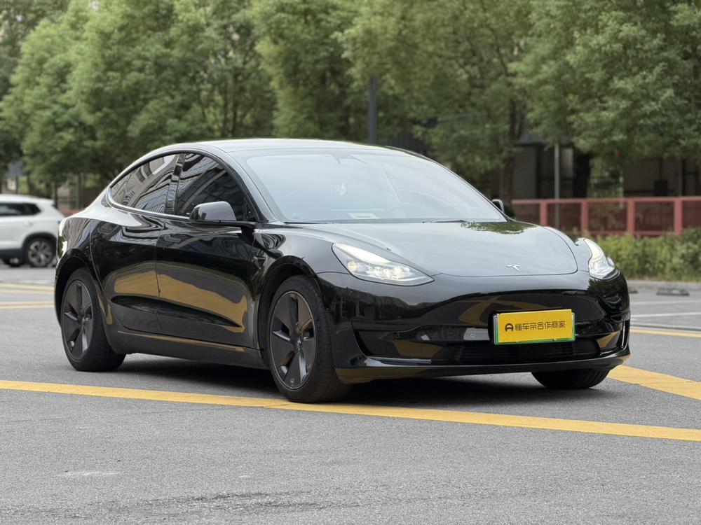 Tesla Model 3 2023 #3 Tesla Model 3 2023 car image #3