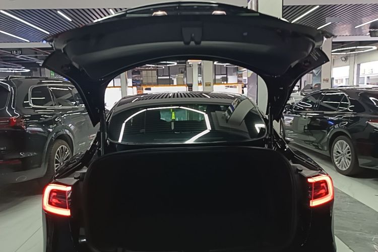 Tesla Model 3 2021 car image #21
