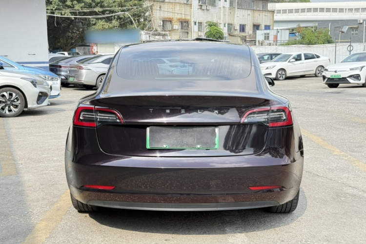 特斯拉 Model 3 2020 汽车图片 #3