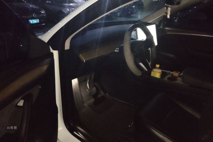 Tesla Model Y 2023 #18 Tesla Model Y 2023 car image #18