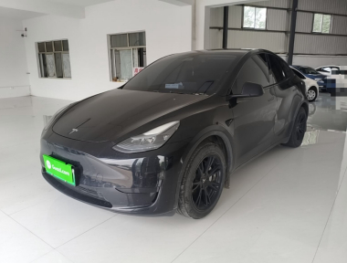 Tesla Model Y 2023 Tesla Model Y 2023 car image
