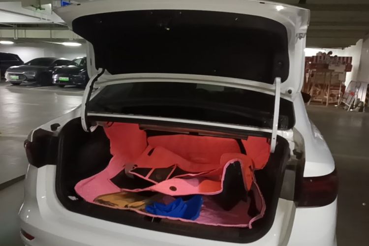 GEELY Emgrand 2024 car image #19