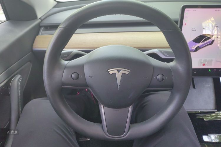 Tesla Model 3 2020 #12 Tesla Model 3 2020 car image #12