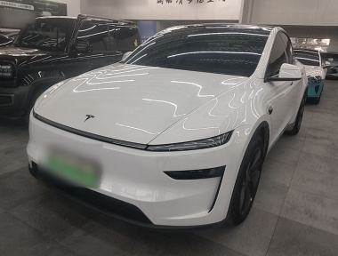 Tesla Model Y 2025 Tesla Model Y 2025 car image