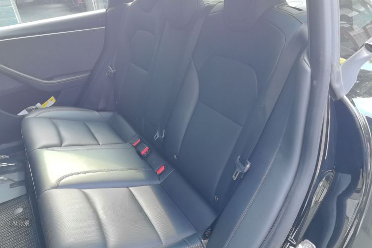 Tesla Model 3 2023 car image #19