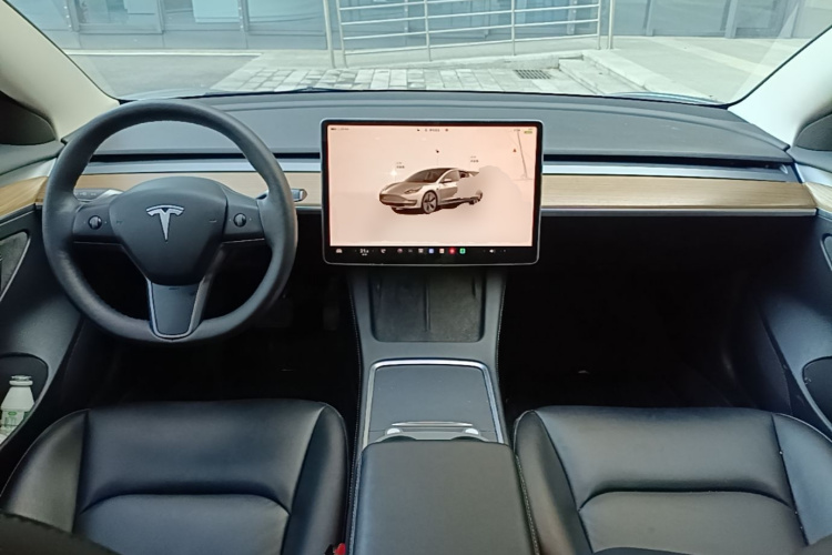 Tesla Model 3 2023 #10 Tesla Model 3 2023 immagine di auto #10