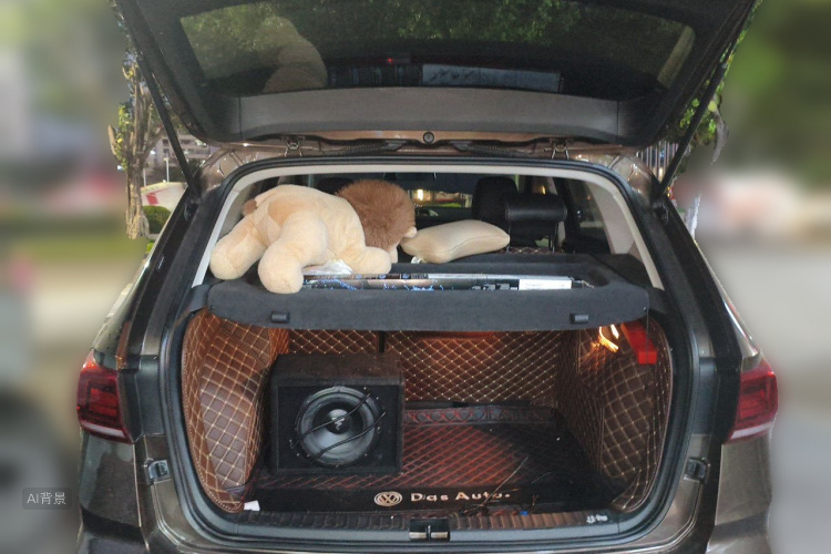 Volkswagen Tharu 2020 car image #21