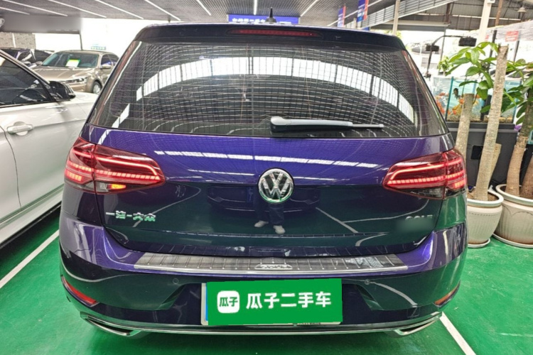 Volkswagen Golf 2019 #6 Volkswagen Golf 2019 car image #6