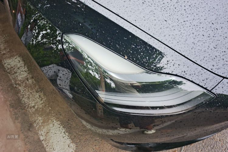 Tesla Model 3 2021 #8 Tesla Model 3 2021 car image #8