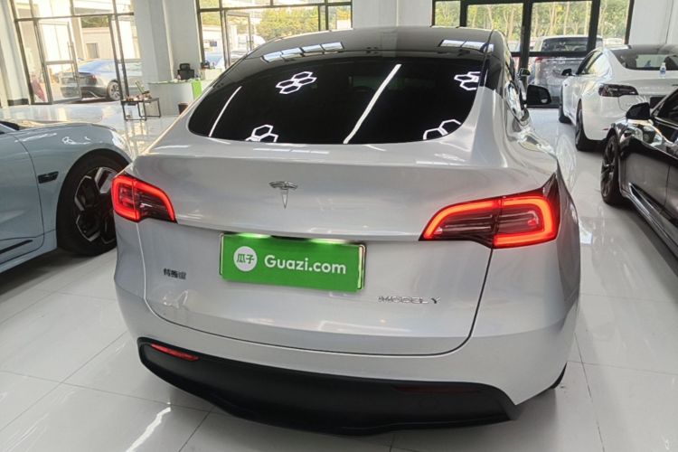 Tesla Model Y 2022 car image #6