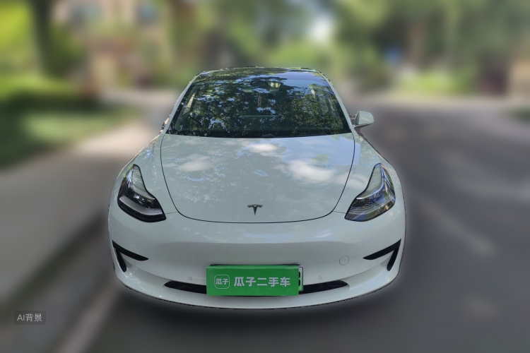 Tesla Model 3 2020 #3 Tesla Model 3 2020 car image #3