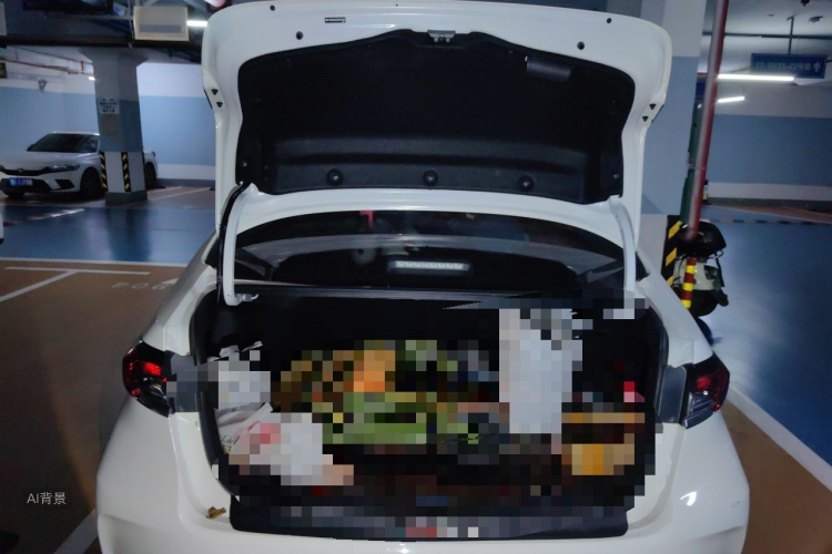 Toyota Corolla 2019 car image #21