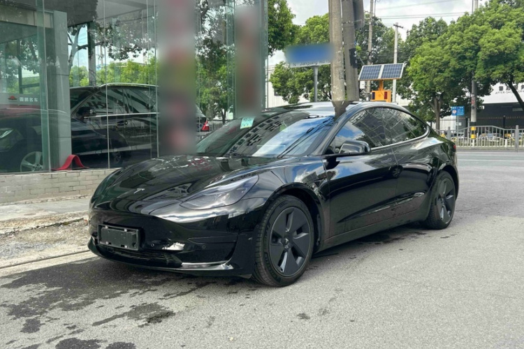 Tesla Model 3 2021 #3 Tesla Model 3 2021 car image #3