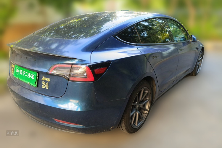 Tesla Model 3 2021 car image #7
