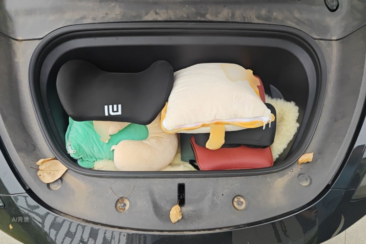 Tesla Model Y 2021 car image #22