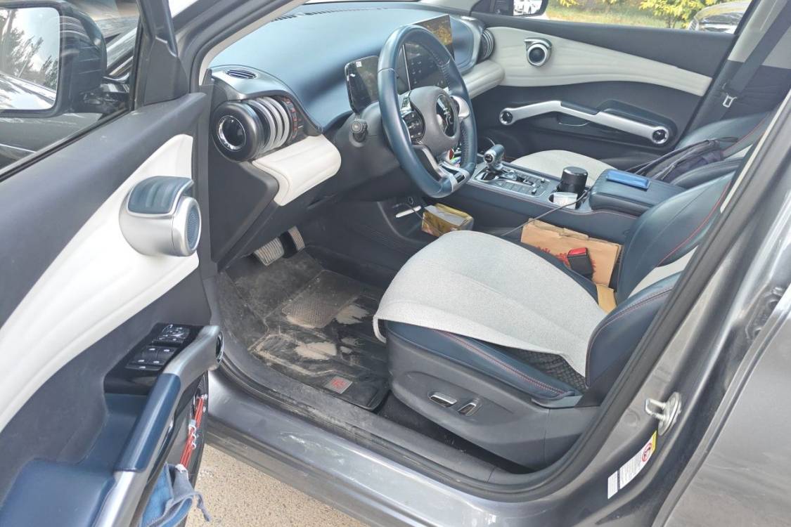 BYD Yuan Plus 2022 imagen de coche #25