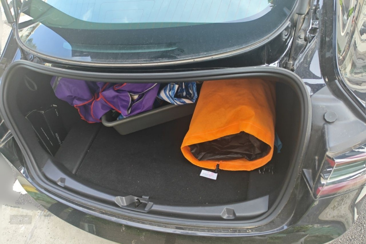 Tesla Model 3 2020 car image #21