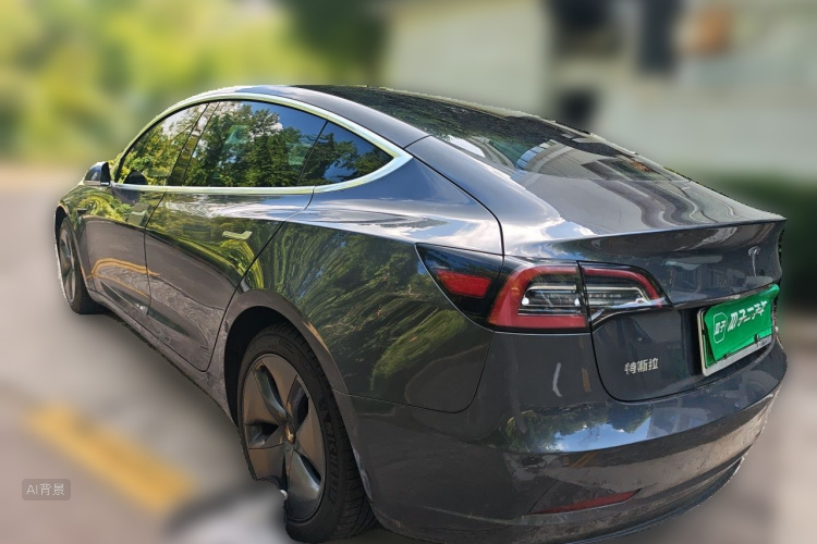 Tesla Model 3 2020 car image #5