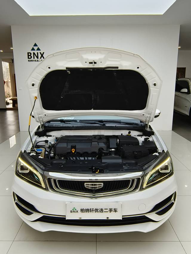 GEELY Emgrand 2020 car image #8