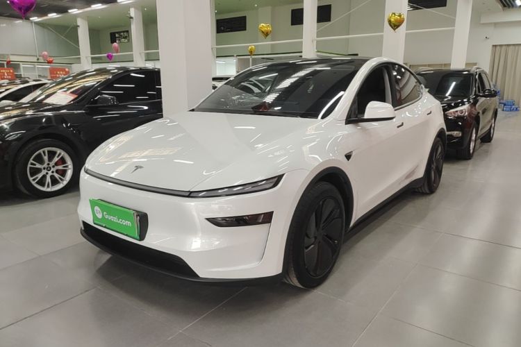 Tesla Model Y 2025 car image #2