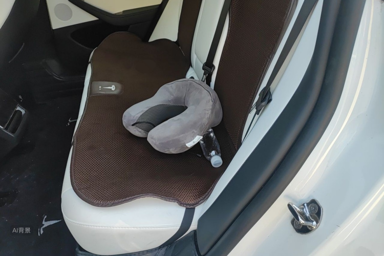 Tesla Model 3 2023 #19 Tesla Model 3 2023 car image #19