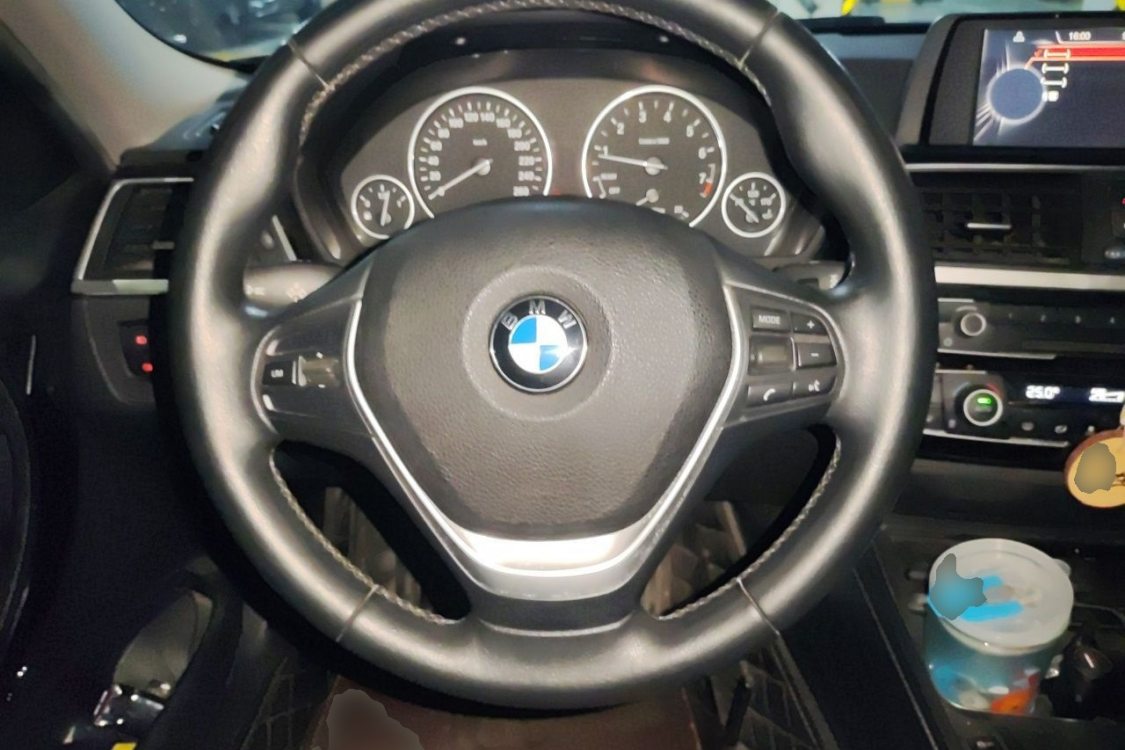BMW 3 Series 2016 car image #22