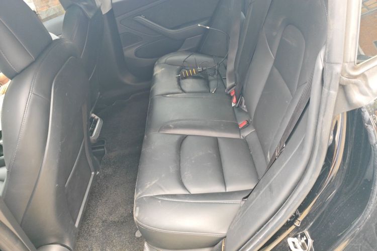Tesla Model 3 2020 car image #14