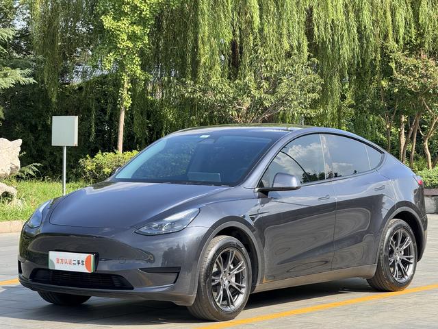 Tesla Model Y 2025 car image #23